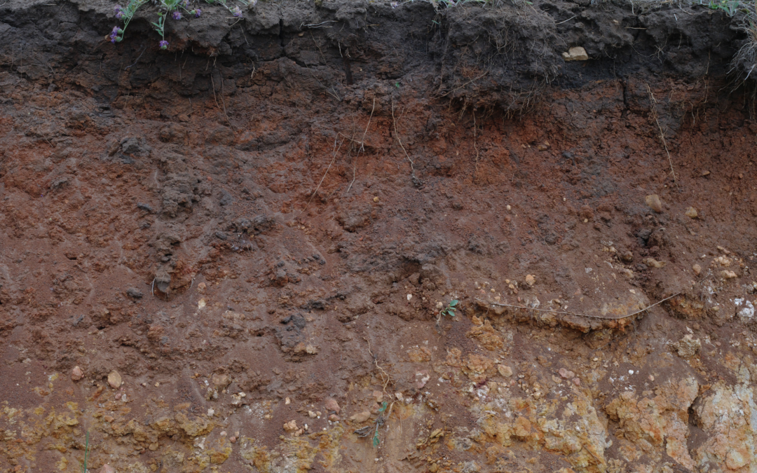 How Florida Soil Conditions Affect Your Home Foundation 