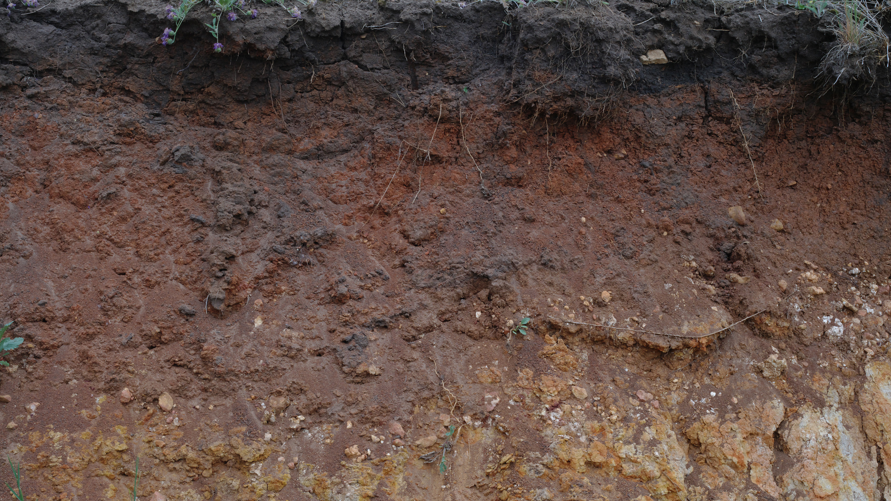 How Florida Soil Conditions Affect Your Home Foundation 