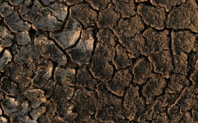 Grouting Methods for Soil Voids in Florida: Which Fits Your Property?