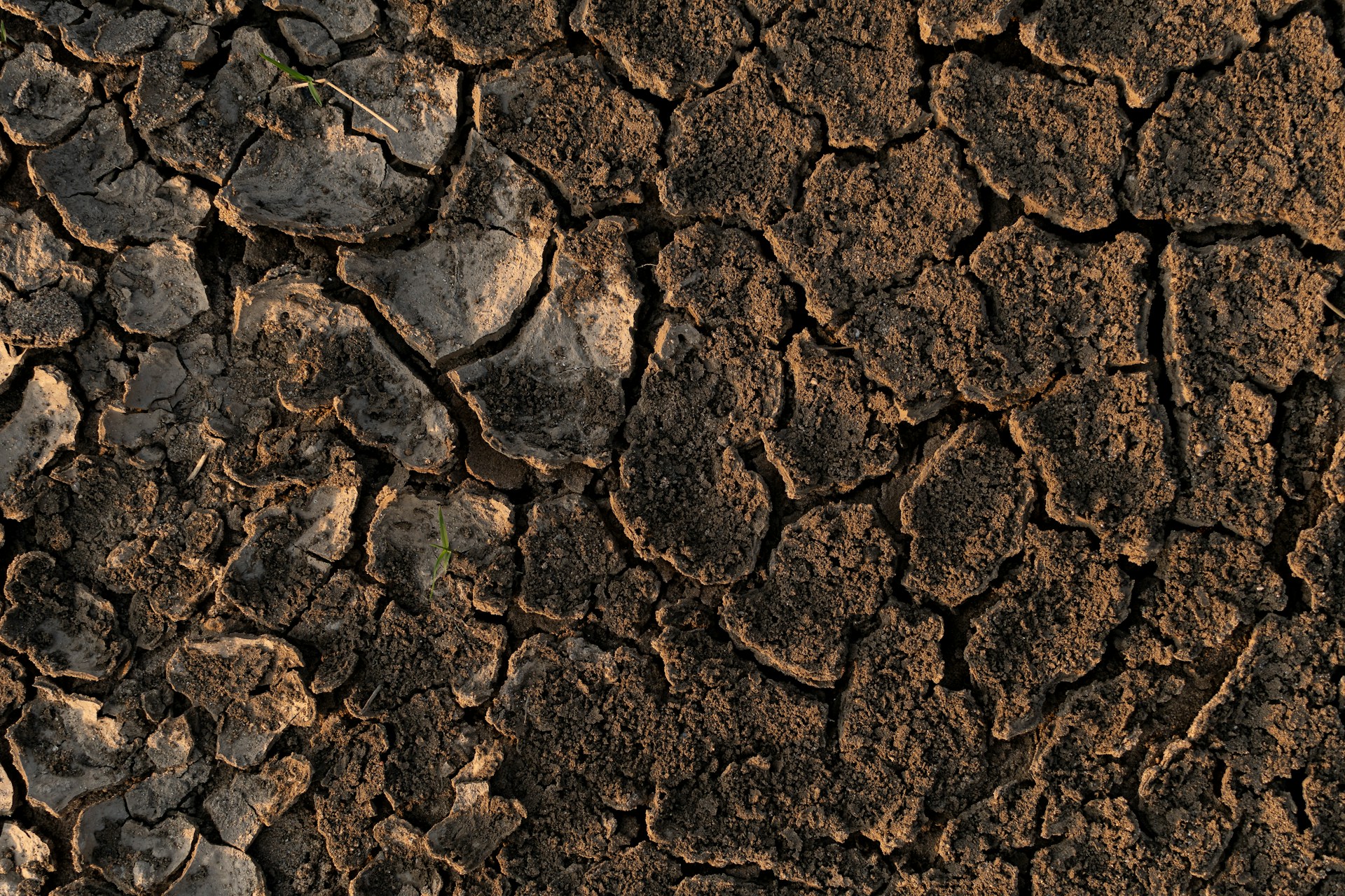 Grouting Methods for Soil Voids in Florida: Which Fits Your Property?