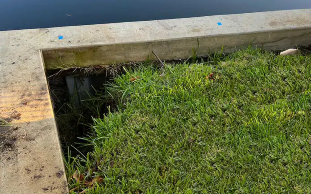 Seawall Failure & Soil Erosion in Florida: A Homeowner’s Guide