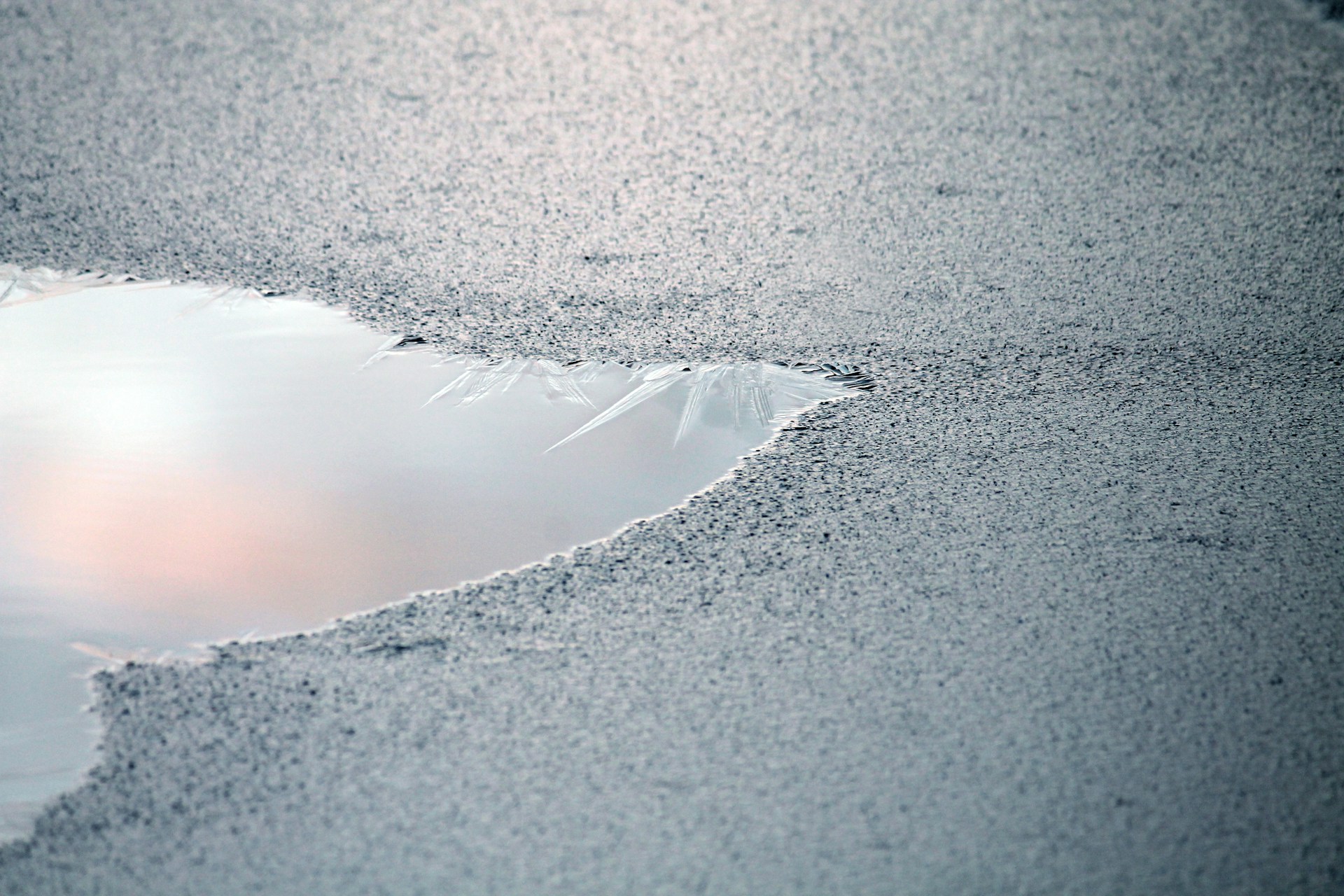 Sinkhole Alley Florida Counties: What Homeowners Should Check Before Buying