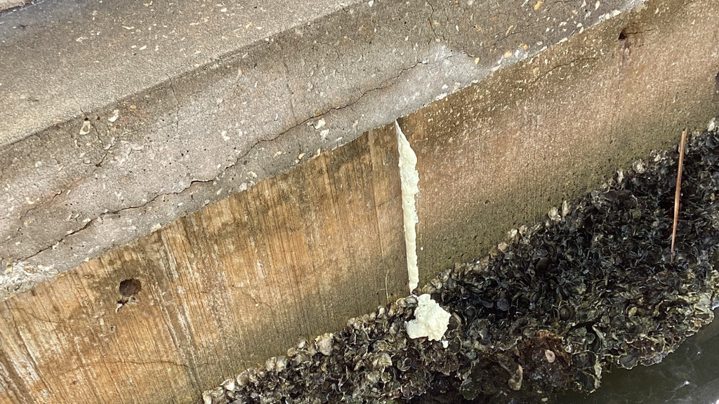 Seawall Soil Erosion Repair in Florida: Real Before & After Examples 2 residential productcomingoutofseawall