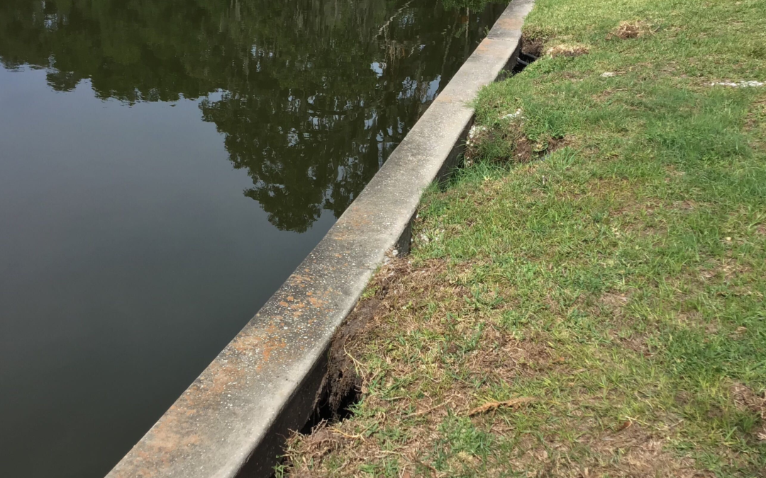 Seawall Soil Erosion Repair in Florida: Real Before & After Examples