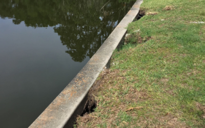 Seawall Soil Erosion Repair in Florida: Real Before & After Examples