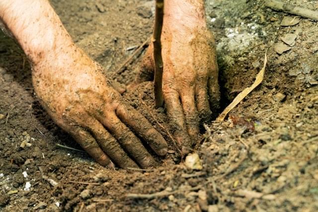 Signs of Poor Soil Compaction and How to Fix Them Easily
